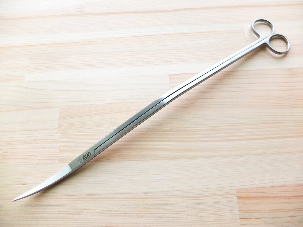 ADA プロシザース 本物 ヌード ADA プロシザースヌード ADAプロ