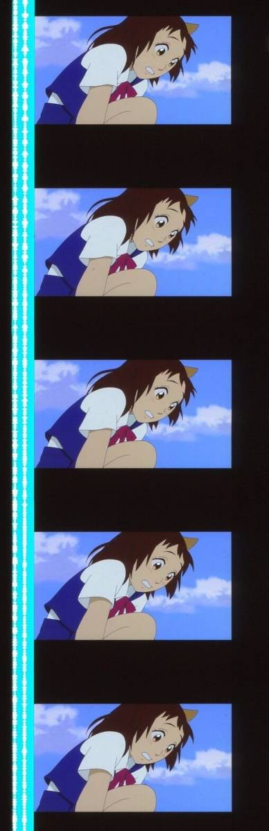 猫の恩返し 35mmフィルム 連続5コマ 池脇千鶴 袴田吉彦 山田孝之 前田亜季