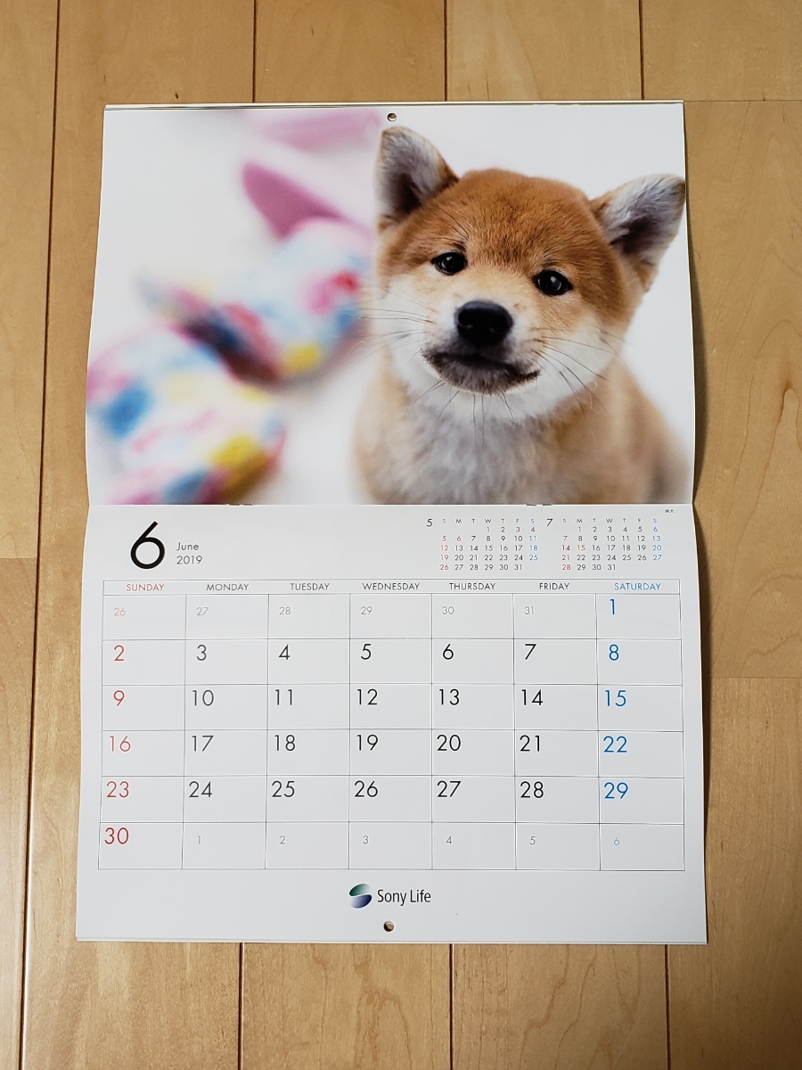 ゆかいな子犬たち2012－2024カレンダーコレクションセット○新品