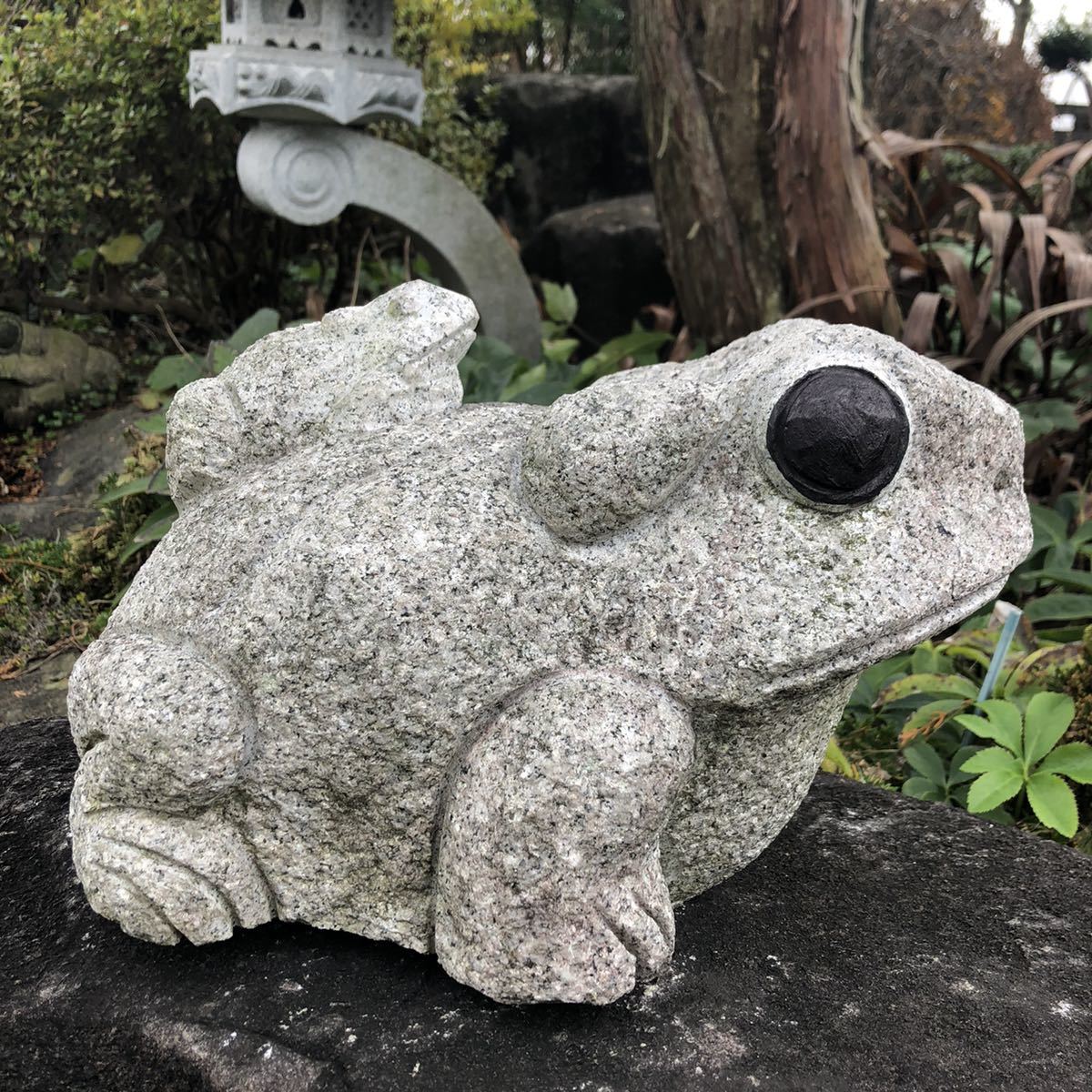カエル 蛙 置物 オブジェ 御影石 庭石 石像 石造 石彫 彫刻 玄関 石の