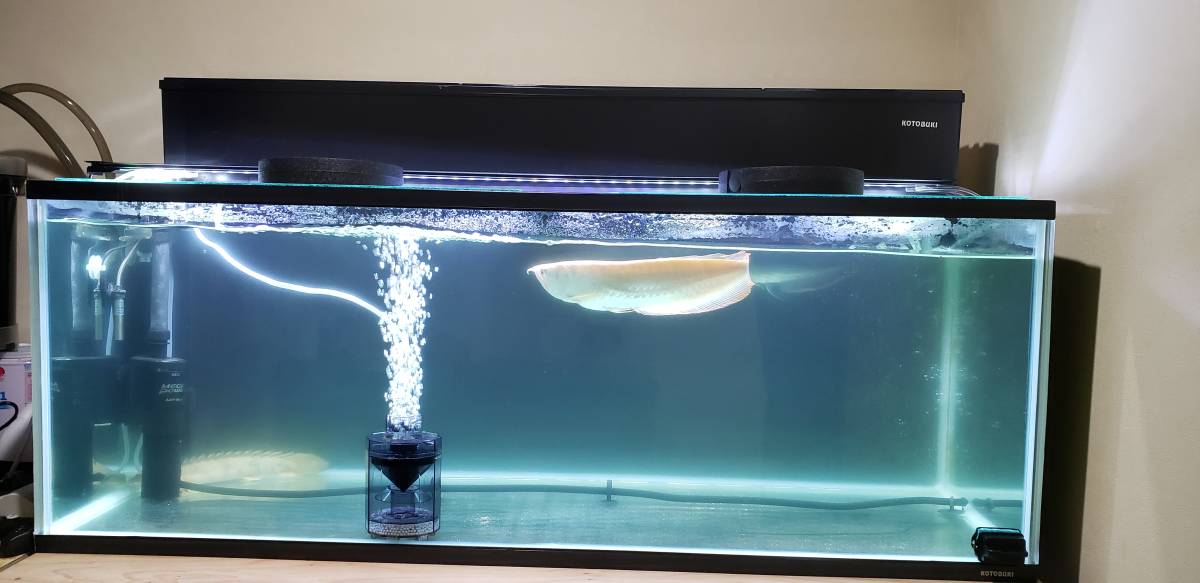 1200 コトブキガラス水槽