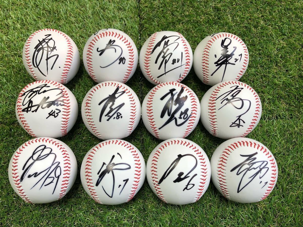 北海道日本ハムファイターズ 直筆サインボール 10個セット 北山 稲葉