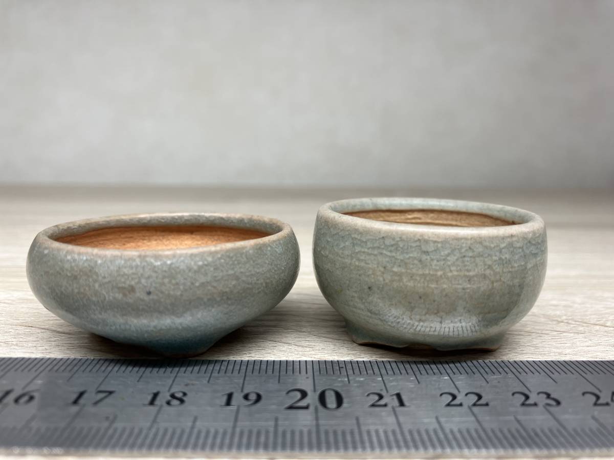 レア】宗像一蒼×大島まゆみコラボ ミニ盆栽鉢 【公式通販】