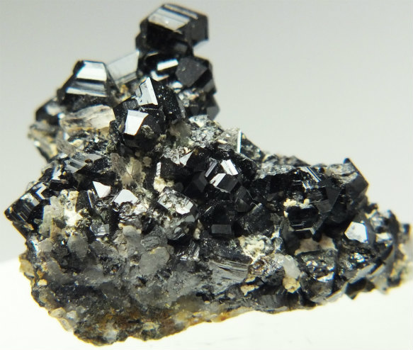 錫石（九連晶） 希少産地 鉱物標本 【公式通販】