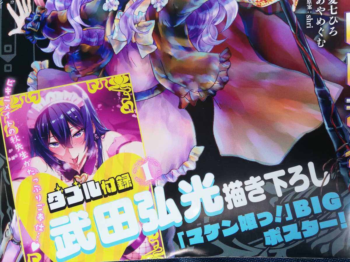 マケン姫っ！ 武田弘光 ポストカード、ポスターなど 月刊 ドラゴン