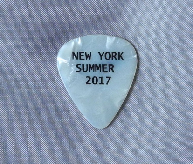 Paul McCartney ポール・マッカートニー 2017 ギターピック