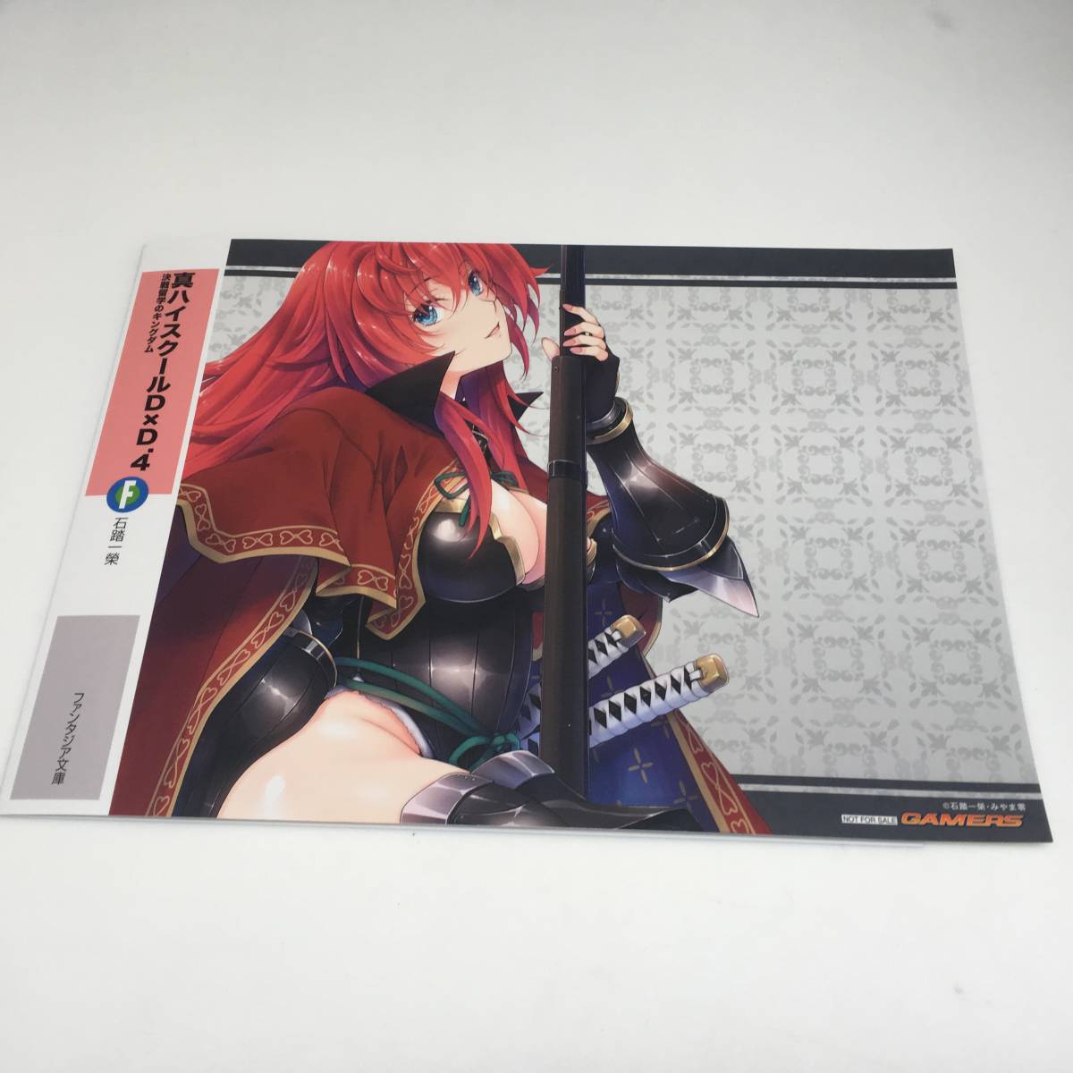 ハイスクールD×D ⑤ ゲーマーズ 特典 ブックカバー NOT FOR SALE ハイ