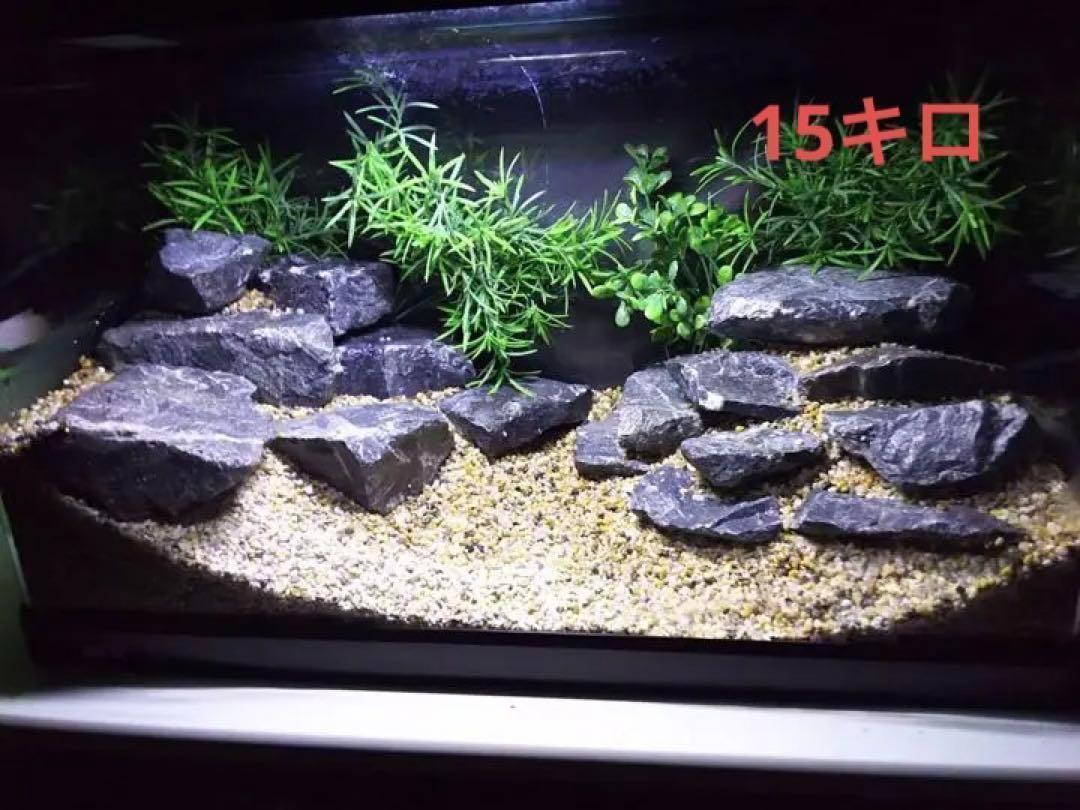 ADA 龍王石 約7.5kg セット 親石約2.8kg ADA 龍王石 約7.5kg セット 親