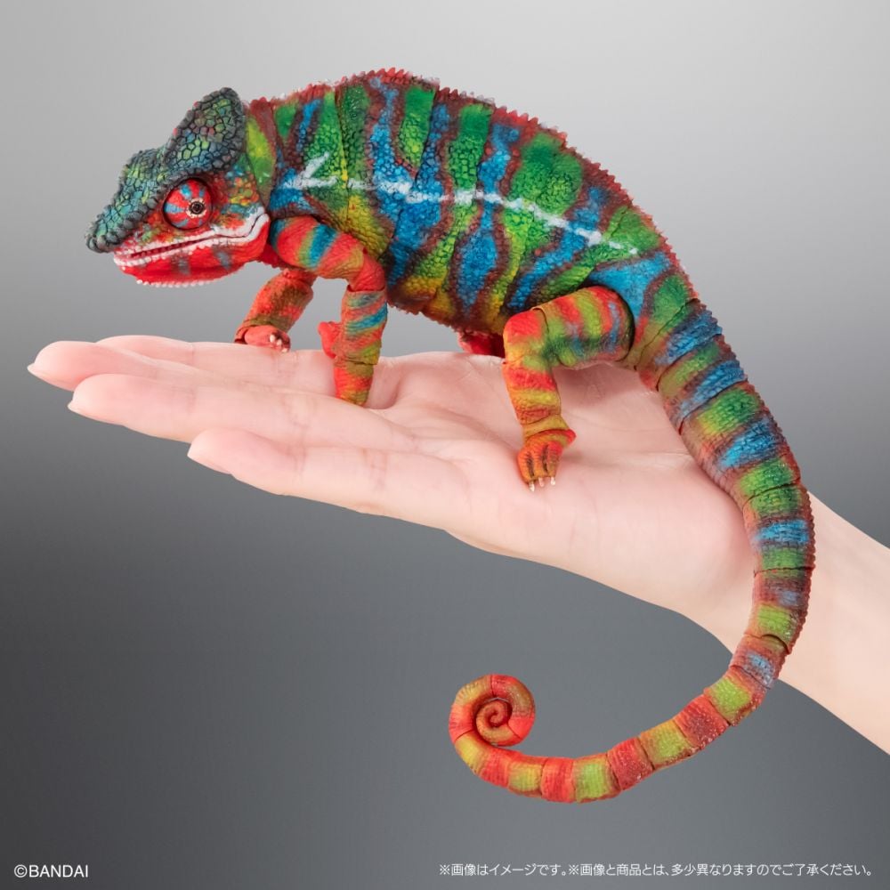 いきもの大図鑑プレミアム パンサーカメレオン アンビローブ・グリーン