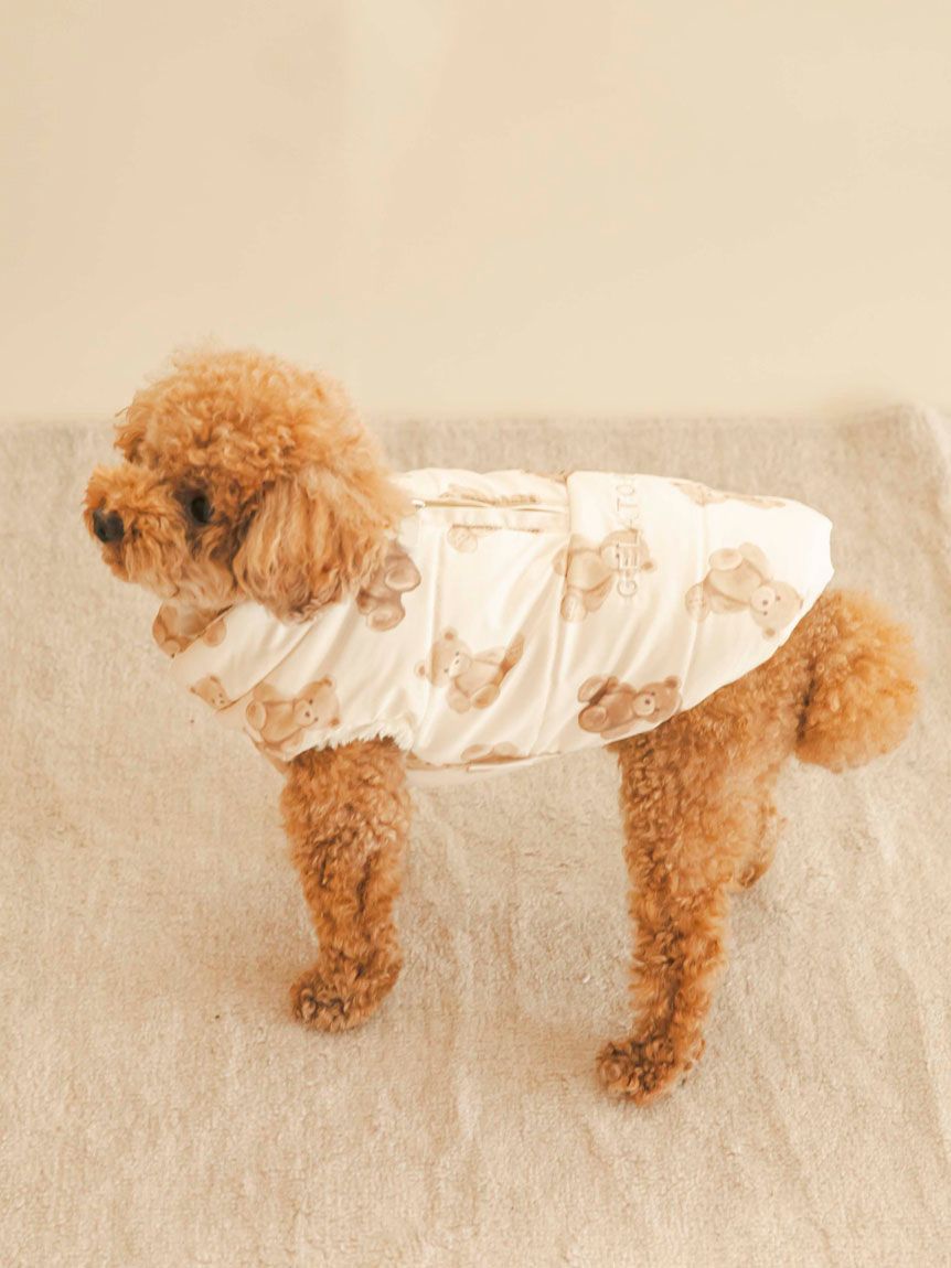 ジェラートピケ 中綿ベスト くま柄 L CAT&DOG】中綿ベスト(ウェア