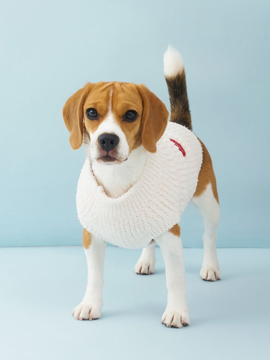 CAT&DOG】ベビモコベアサガラ刺繍プルオーバー(ウェア)｜ルームウェア