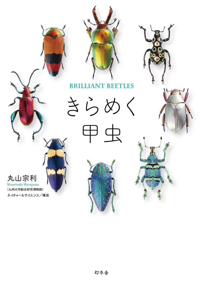 きらめく甲虫』丸山宗利 | 幻冬舎