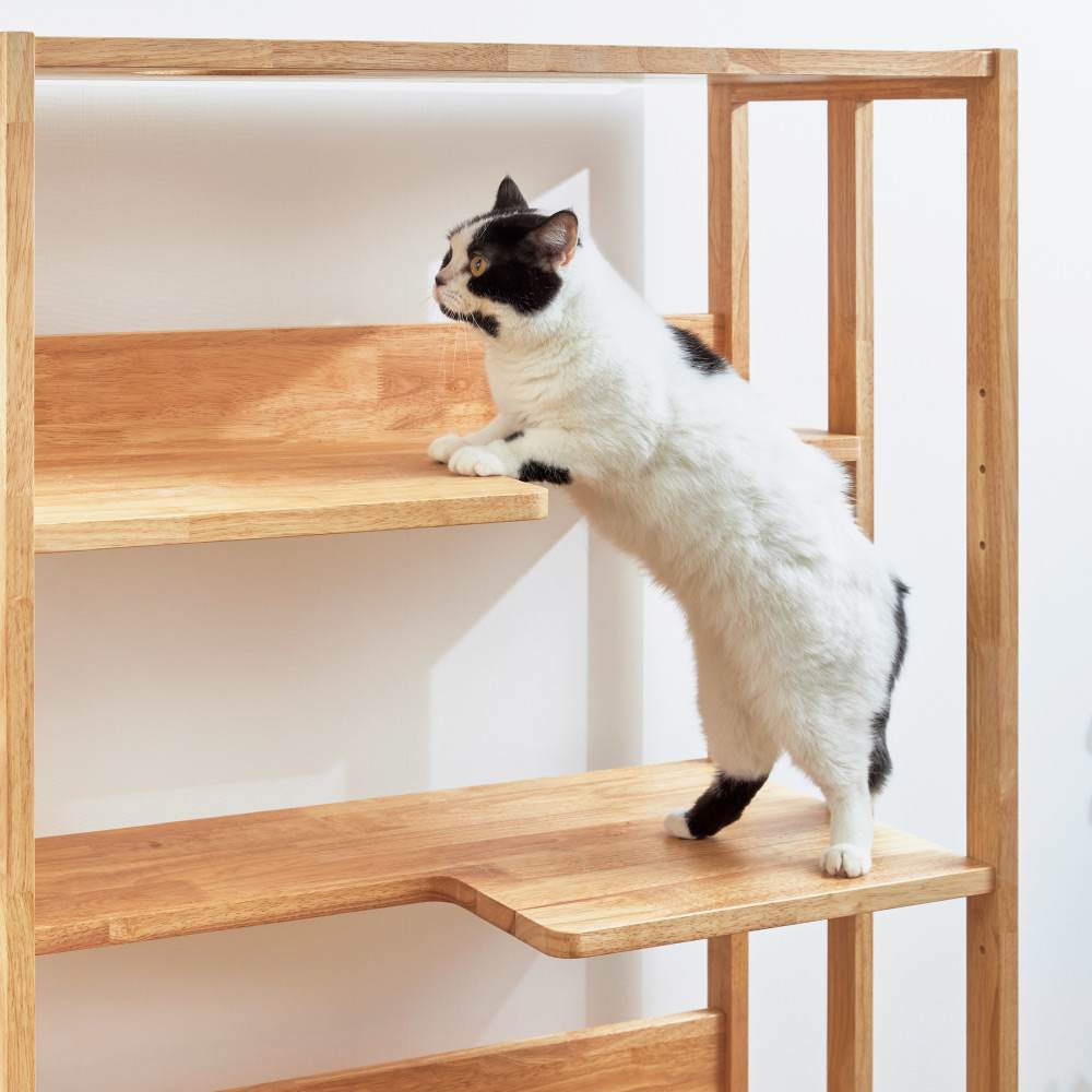 dショッピング |天然木の 猫も遊べる オープンラック 幅63cm 猫と