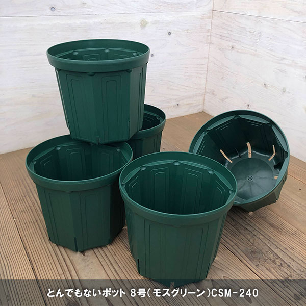 水盆 花器 無名堂 未使用 グリーン系色 水盆 花器 無名堂 未使用