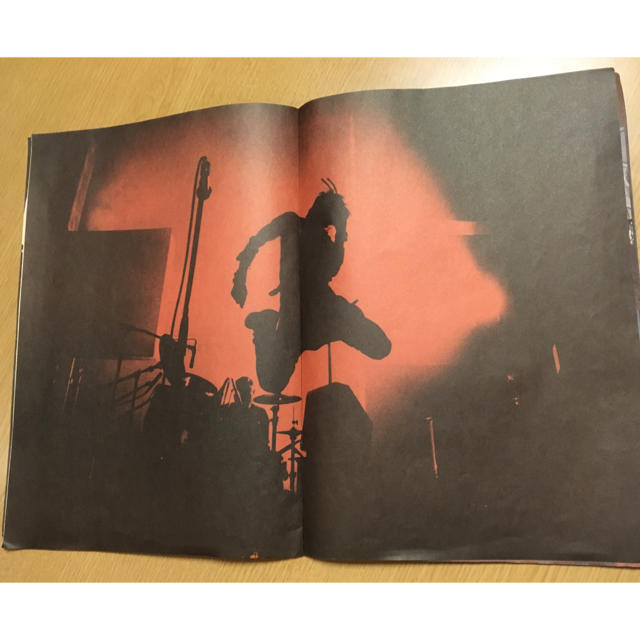 ブルーハーツ 凸凹ツアー BLUE HEARTS 甲本ヒロトの通販 by そのみょん