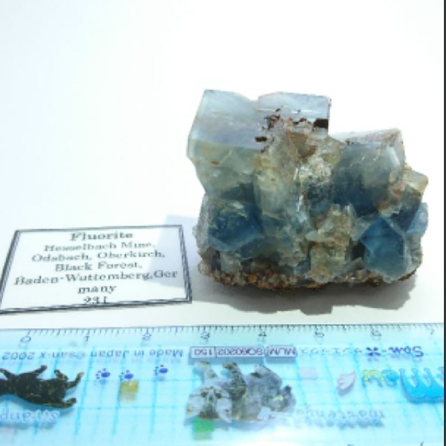 ドイツ 黒い森 フローライトの通販 by ほたるみねらる｜ラクマ