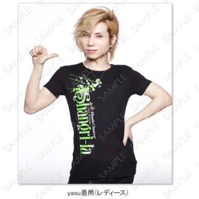 美品 Acid black cherry シャングリラツアーグッズ ボストンバッグ小