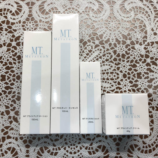 額装P10号】沢田 実「暁」風景画／湖に映る森・群鳥／マット付・銀色