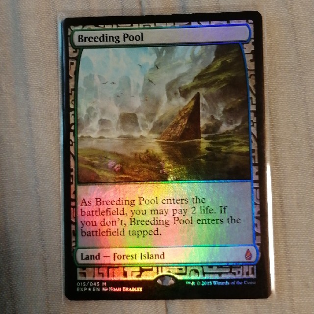 繁殖池 Breeding Pool DIS 英語 Foil 繁殖池/Breeding Pool DIS英語