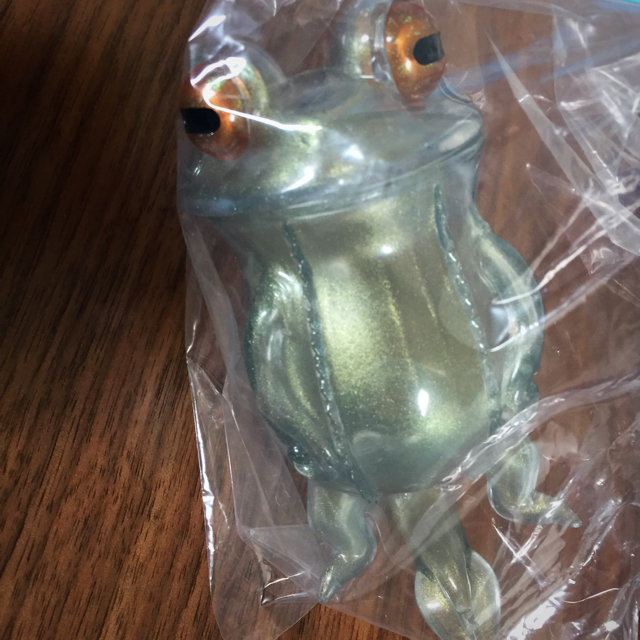 1円〜 箱無 スカルチュラ 歩行食虫植物 ウツボカエル カラフルリング