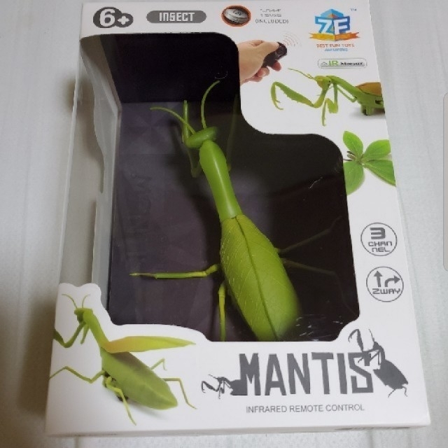 日本画 / 鎌田 義裕 / 【彩光】/ 掛け軸 / 共箱 日本画 / 鎌田 義裕