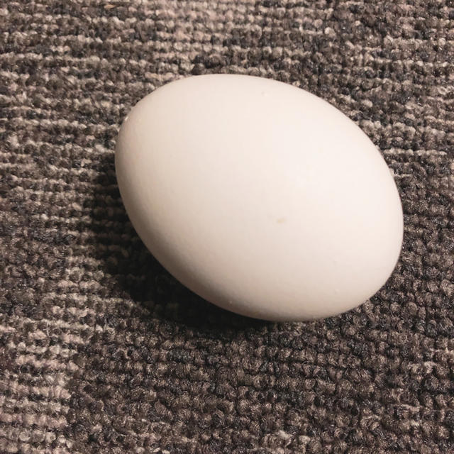 momoさん専用 NM momo.さん専用2 NM momo.さん専用4 : momoさん専用