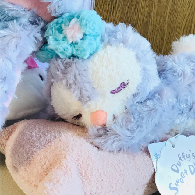 ダッフィー ウィンターホリデー☆コスチューム ステラルー☆ぬいぐるみ