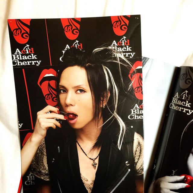 Acid Black Cherry Shangri-la フォトブック Acid Black Cherry