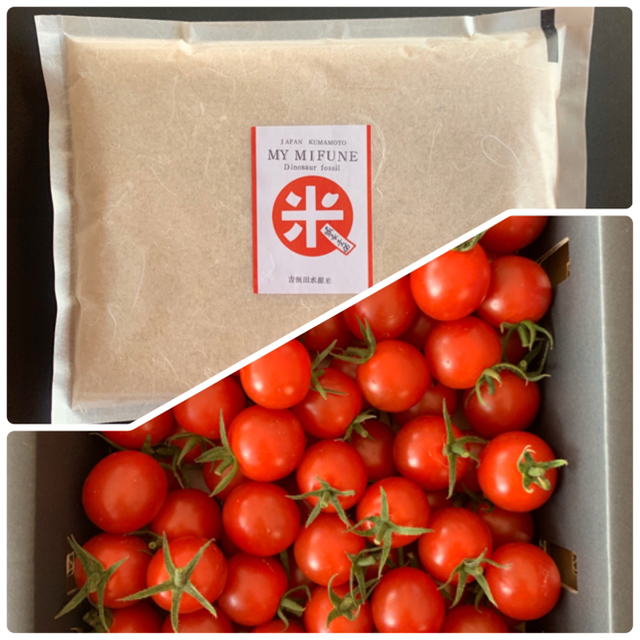 GRENDIZER 11年 スコッチウイスキー 700ml