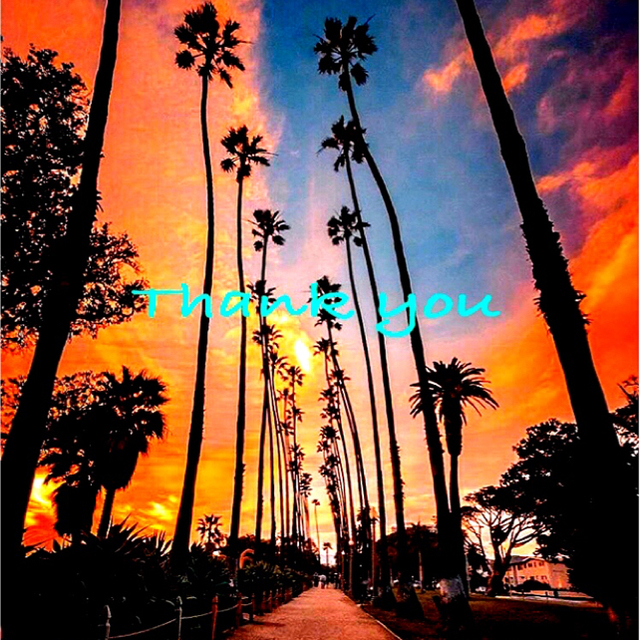 ろなうど様専用オーダーボルトラック ワイヤークロス☆西海岸