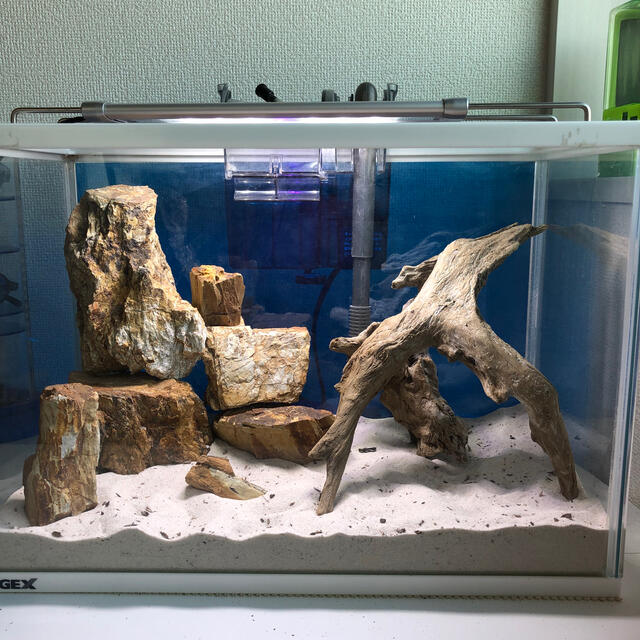 特大 流木 水槽用レイアウト アクアリウム 特大流木 水槽用レイアウト