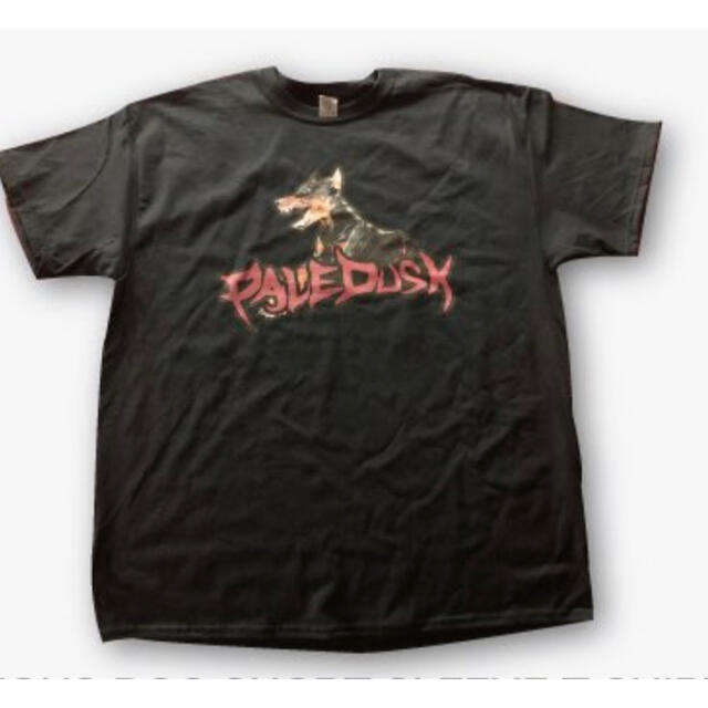 ペイルダスク Tシャツ Lサイズ PALEDUSKジップパーカー ペイルダスク