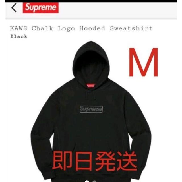 LOVE EAR ART】 桂川弦さん 個展限定 パンダTシャツ Mサイズの通販は