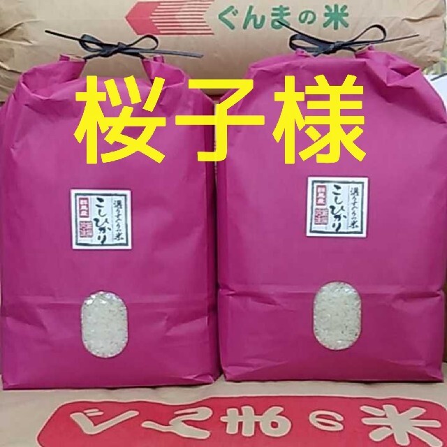 コレクション 大好評♪モモンガオリジナルフード1kg