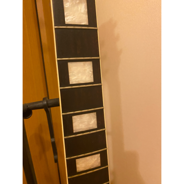 フェルナンデス バーニーレスポール イナズマインレイ