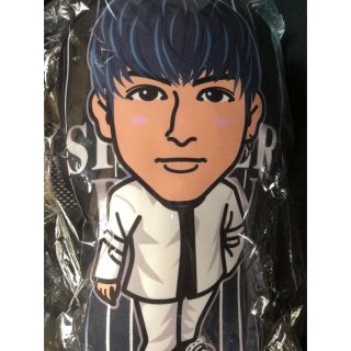 長谷川慎クッションsilver rain