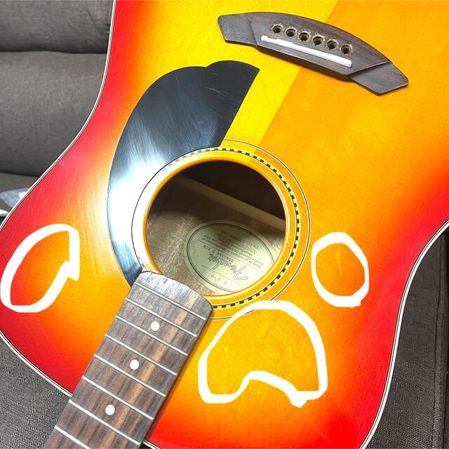 フェンダー ソノラン 沢尻エリカ 楽天市場】fender sonoran