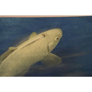 真作/川村憲邦/双鯉図/桐共箱太巻付/布袋屋掛軸HJ-108