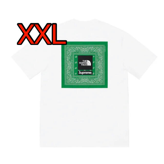 Supreme / The North Face Bandana Tee Hot north face supreme