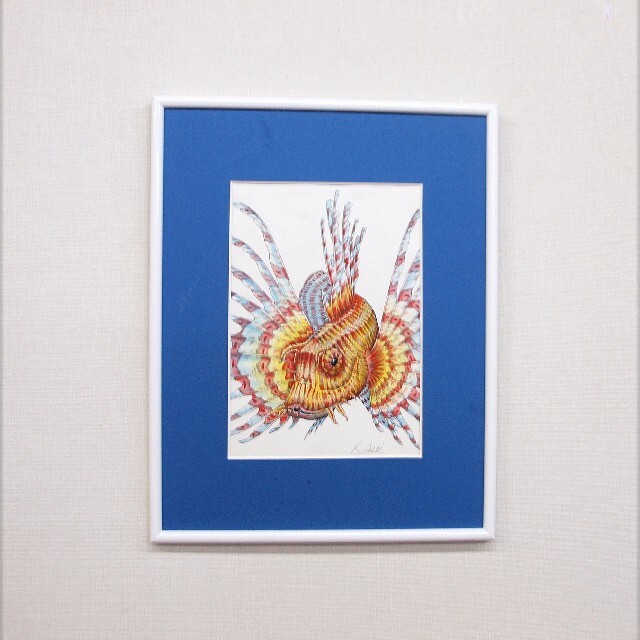 ネイチャーアート「ミノカサゴ」 水彩画 ネイチャーアート「ミノカサゴ