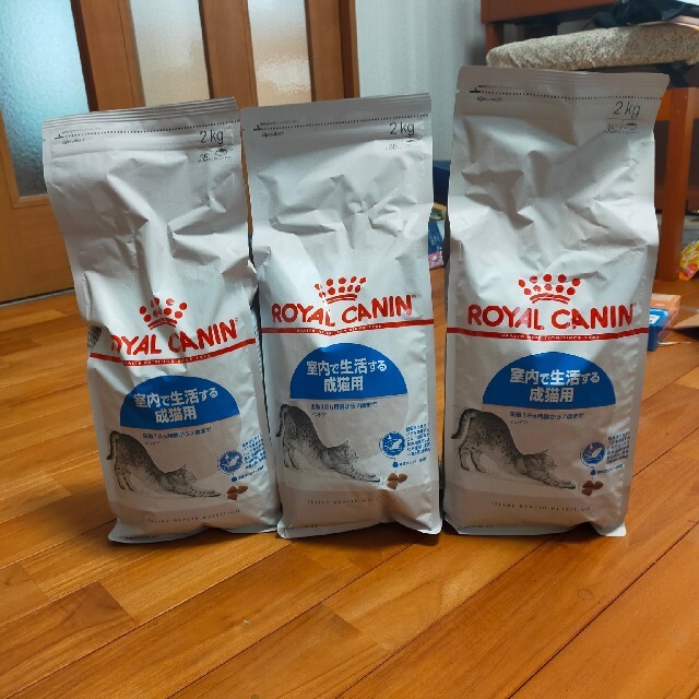 ロイヤルカナン インドア ロイヤルカナン インドア 猫用 2キロ×5個