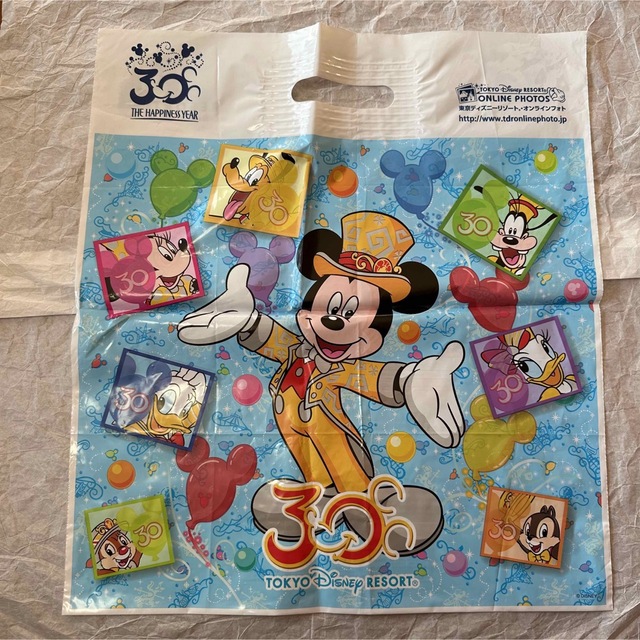 Disney - 【24時間内発送】ディズニーリゾート限定ショッパー お土産袋