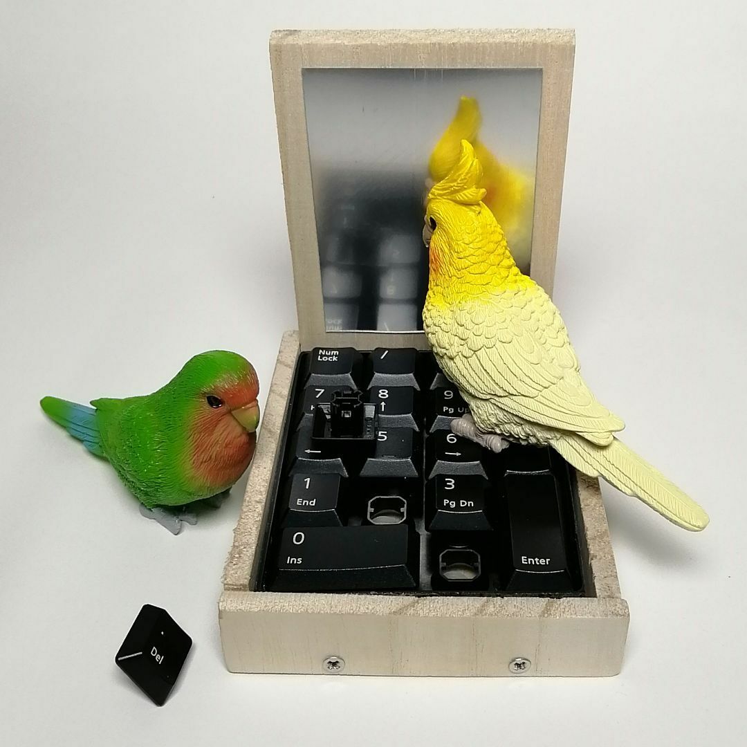 6 ⭐ ミラーボードとフォージングトイセット⭐ インコ バードトイ 100