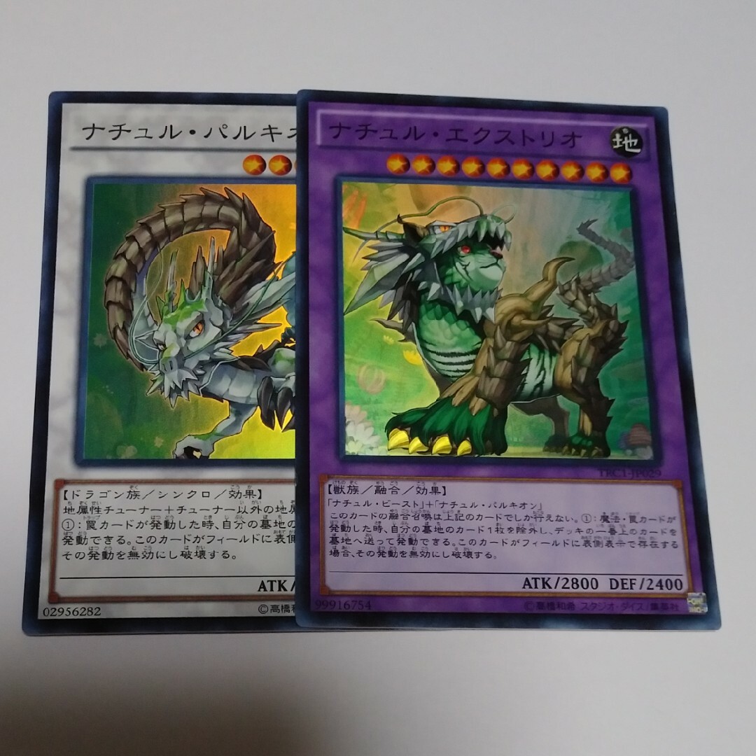 遊戯王 ナチュル・ビースト ナチュルビースト シークレット DT03