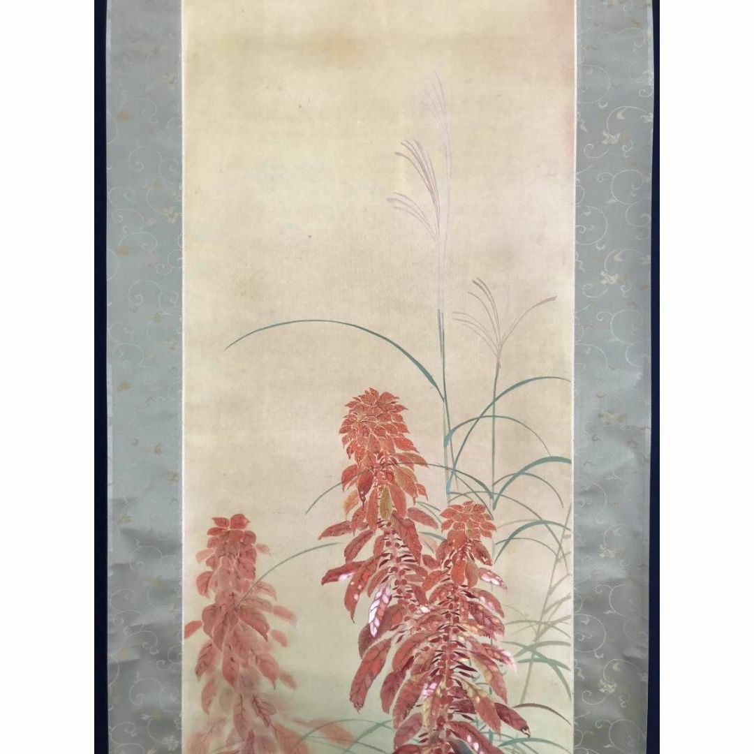 紅楓小禽図】楢崎鉄香 2681 共箱 掛け軸 肉筆 【公式通販】