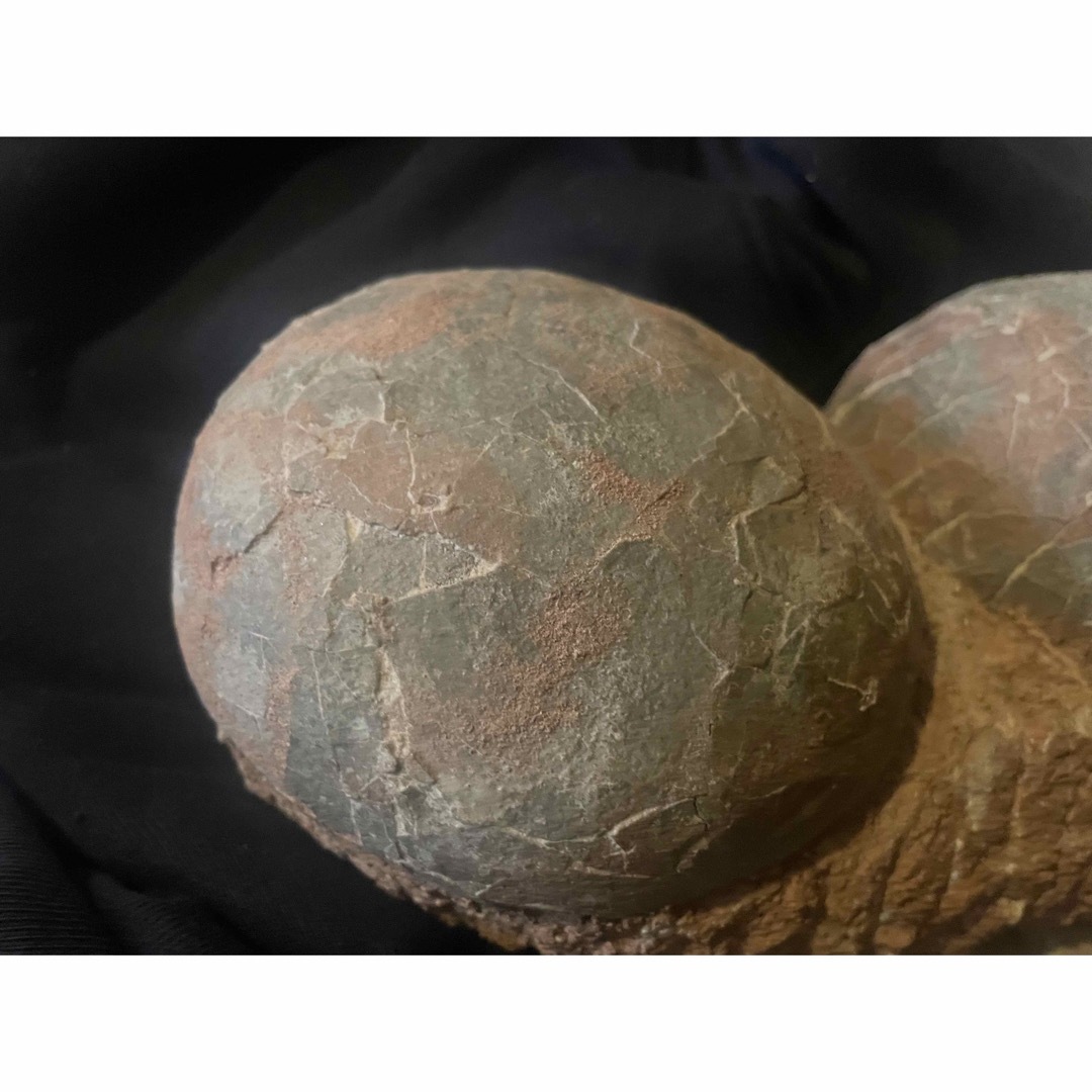 入手困難】恐竜の卵 化石 ハドロサウルスの卵 SP1 入手困難】恐竜の卵