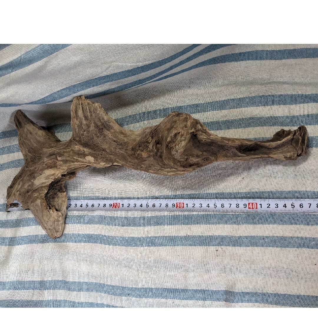 個性的な天然流木 大きいサイズ 流木の通販 by コイノボリ's shop｜ラクマ