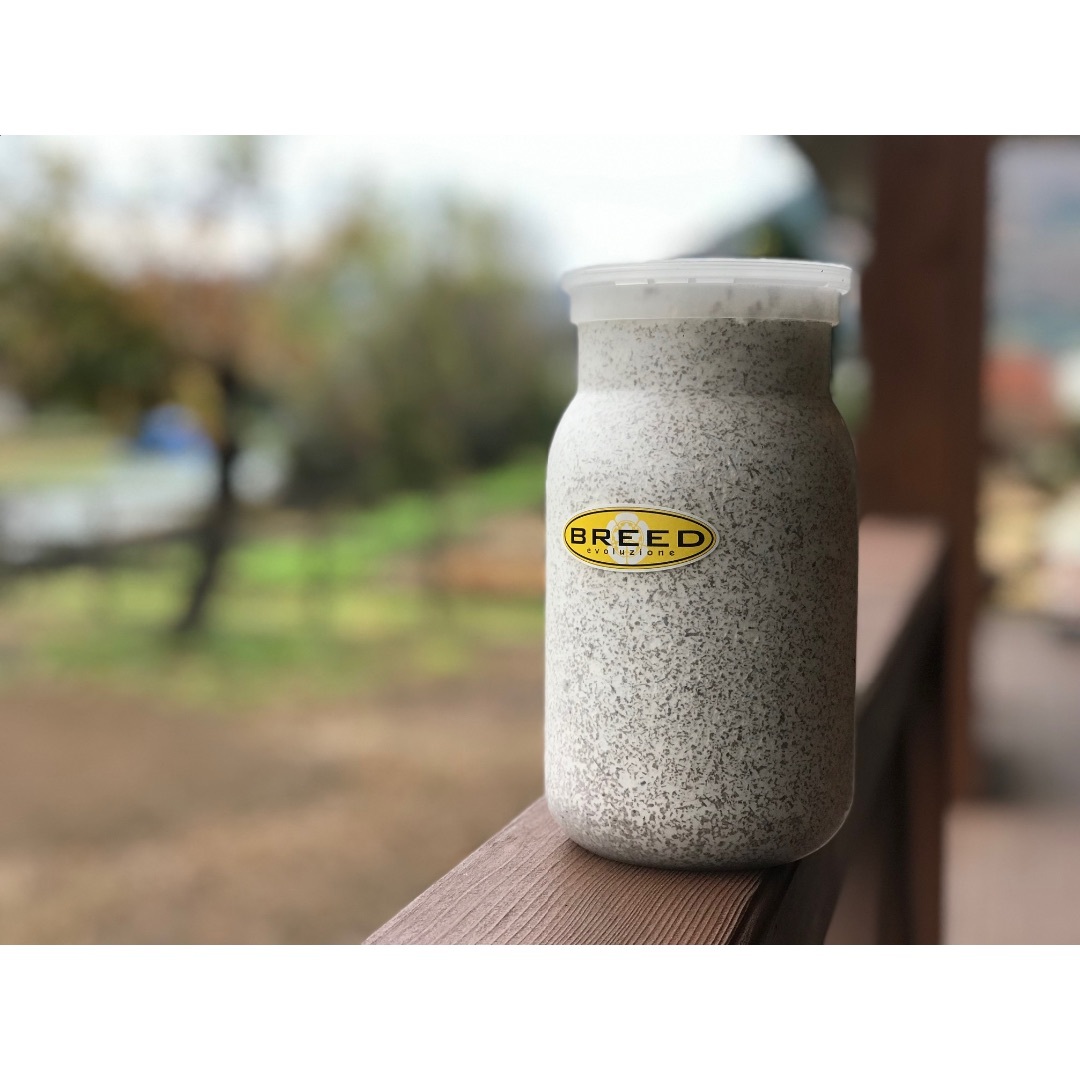 大型・美形クワガタ飼育用 菌糸ビン 1100ml 20本セット 特価