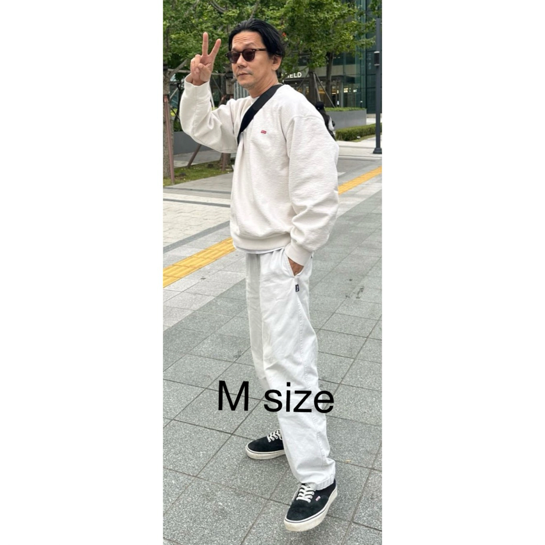 stussy brushed beach pant 野村訓市着用 野村訓市着 Stussy Brushed