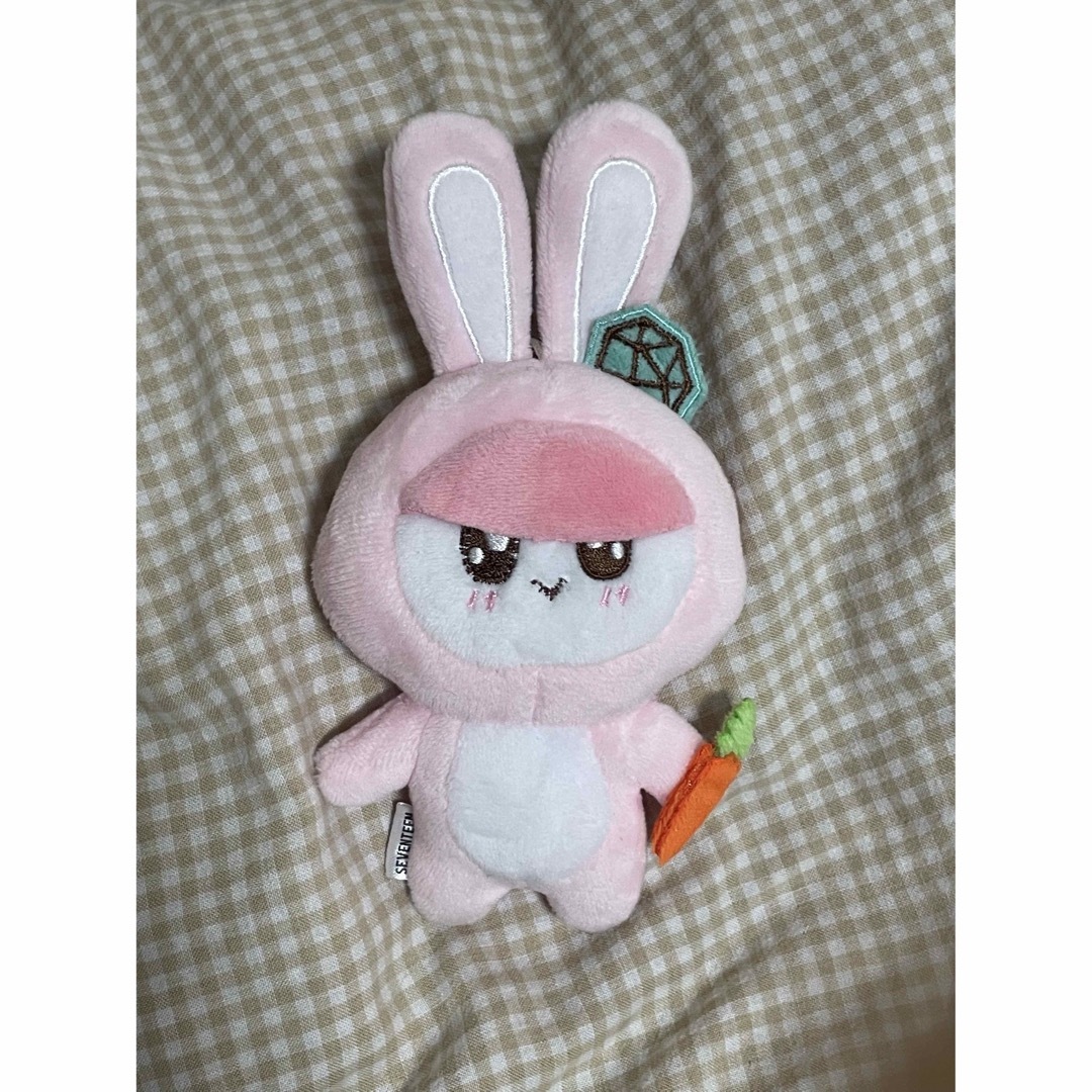 着ぐるみBONGBONG ボンボンイ ニンジン ウサギ 猫 ブタ 犬 ぬいぐるみ